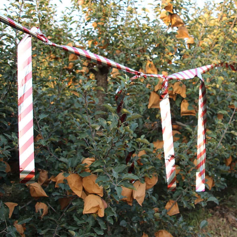 驅(qū)鳥彩帶廠家批發(fā),驅(qū)鳥閃光帶,家用趕鳥嚇鳥,廣東福建趕鳥